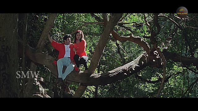 Sultaan Superhit Hindi Dubbed Action Movie Full HD 1080p _  Balakrishna, Annapoorna | South Movie