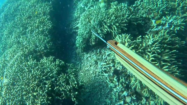 Живу на НЕОБИТАЕМОМ ОСТРОВЕ. Проверил ЛАЙФХАКИ из ТИК-ТОКА. смотреть онлайн