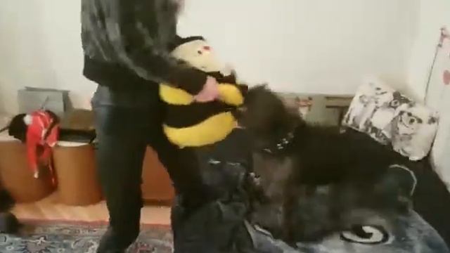 Billy will Biene! смотреть онлайн