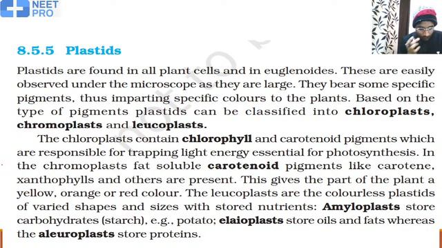 CELL Biology | Part- 6 | NCERT Lines | NEET 2021 | NEET Biology | Mayur Dubey смотреть онлайн