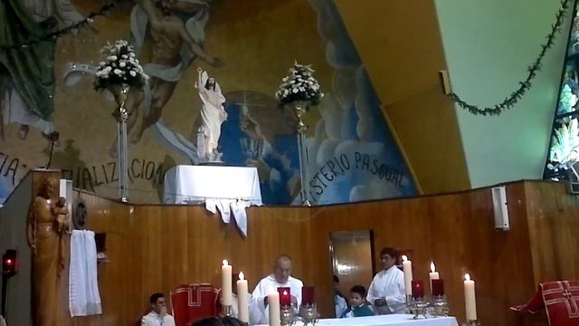 Canto de comunion Misa de Gloria 2012 смотреть онлайн