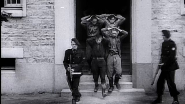 39/45 : Les Policiers Dans La Résistance