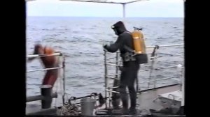 «Приключения команды Кусто в России»