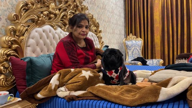 Neetu Ladte-Ladte Khud Rone Lagi 😂 смотреть онлайн