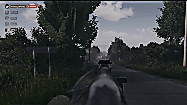 DayZ
