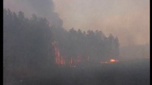 Лесные пожары