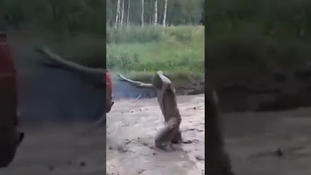 Чуть не выпал смотреть онлайн