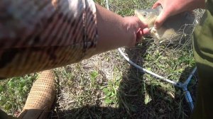 На рыбалку с внуком