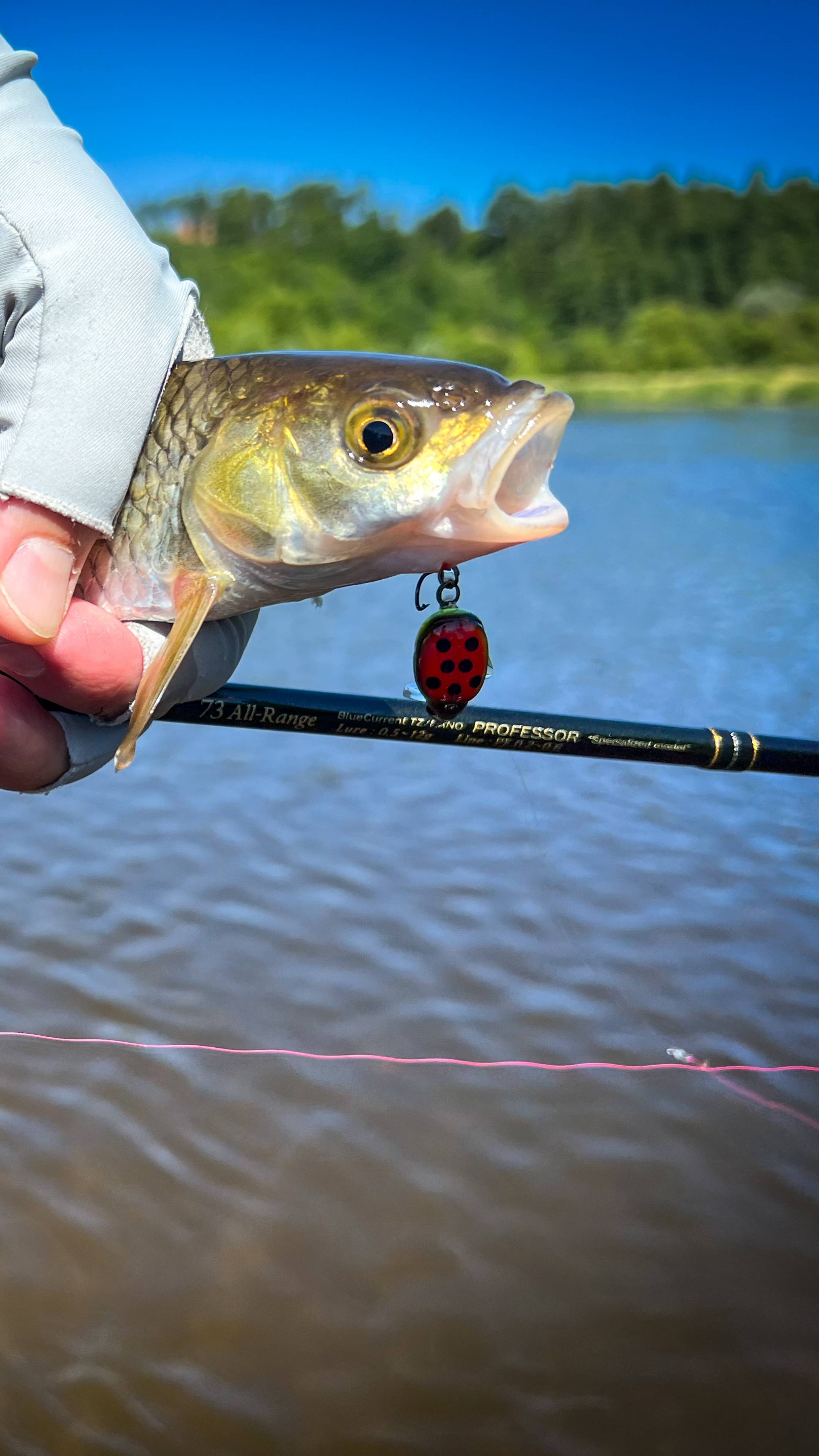 РАЗДАЧКА 🎣 смотреть онлайн