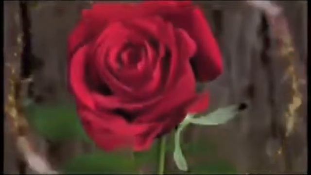 цветы для тебя смотреть онлайн