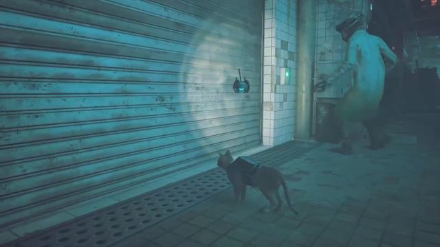 Neko Cat Girl Speed Runs #Stray[Practice Personal Best 1:53:47][New PB 1:43:36s] смотреть онлайн