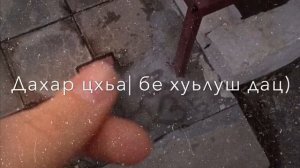 дериг дуьне хьо ду са✨, Дишка  Домбаева❤️😻
