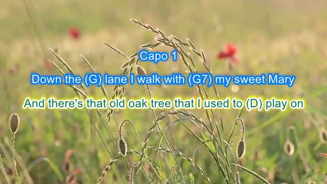 Green Green Grass of Home by Tom Jones play along with scrolling guitar chords and lyrics смотреть онлайн
