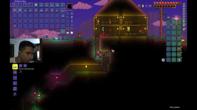 Terraria v1.4.4.9: Много меда бывает... (15) смотреть онлайн