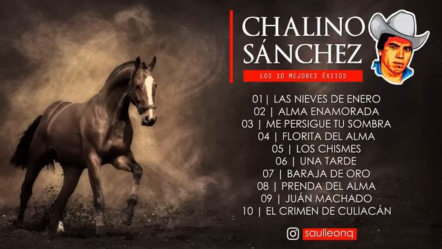 Chalino Sanchez | 10 Éxitos смотреть онлайн