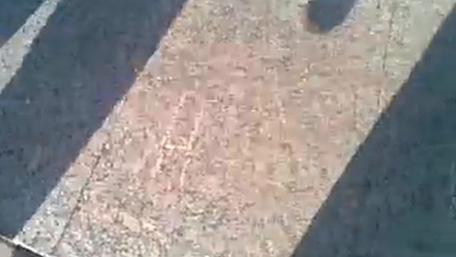 ООО "Олег и Обокраденный Шпак" смотреть онлайн