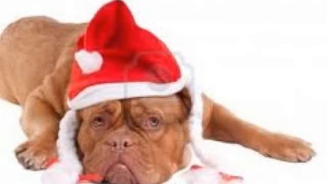 in all Memory of Melanie Thornton .. R.I.P.!.X-Mass diashow by Mike Molossa... 2015 ... смотреть онлайн