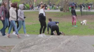 Попробуй не засмеяться, пук в парке, невероятные приколы и ситуации