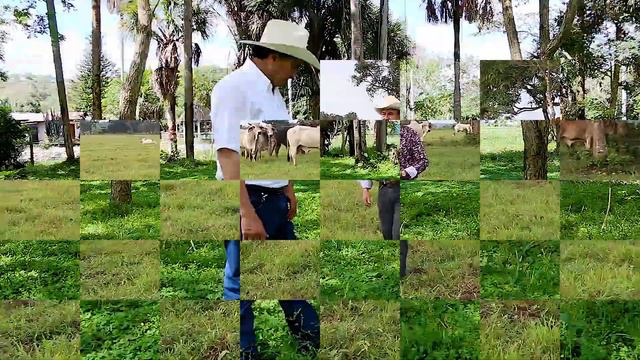 LA VIUDA MILLONARIA. ERNESTO MARTINEZ смотреть онлайн