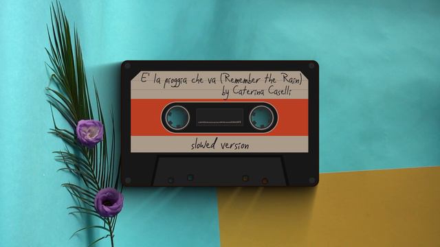 È la pioggia che va (Remember The Rain) - Caterina Caselli [slowed version] смотреть онлайн