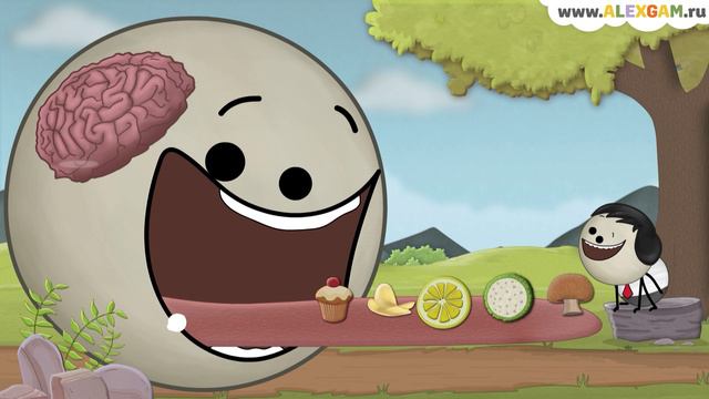 Почему мята ощущается холодной во рту? смотреть онлайн