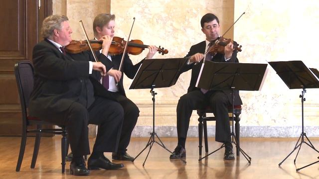 Joseph MAYSEDER : Variationen op. 40 (Ausschnitt) Thomas CHRISTIAN смотреть онлайн