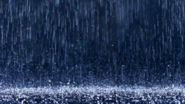 Dig Dog Rain Rain Rain смотреть онлайн