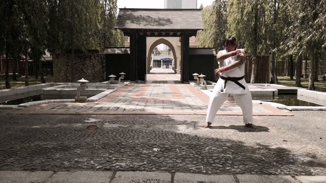 Road to The World Warrior ( Street Fighter fan-made short video) смотреть онлайн