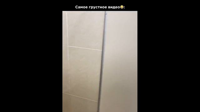 Lv_0_20240919154026.mp4