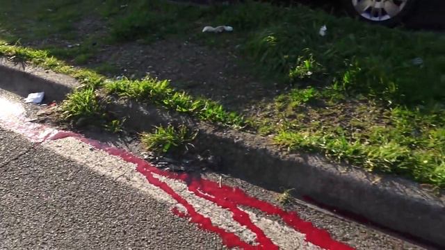 15 gennaio - Messina, Investita sul viale Giostra, in due fuggono su ciclomotore смотреть онлайн