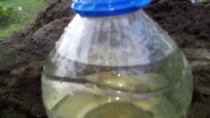42 - Капельный полив бутылками -всё гениально и просто!