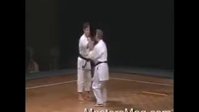 Morio Higaonna Sensei y su hijo смотреть онлайн