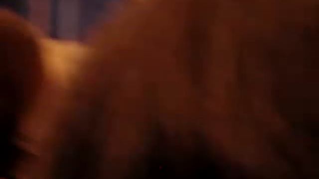 Tracey Emin and David Thorp at the Royal Academy смотреть онлайн