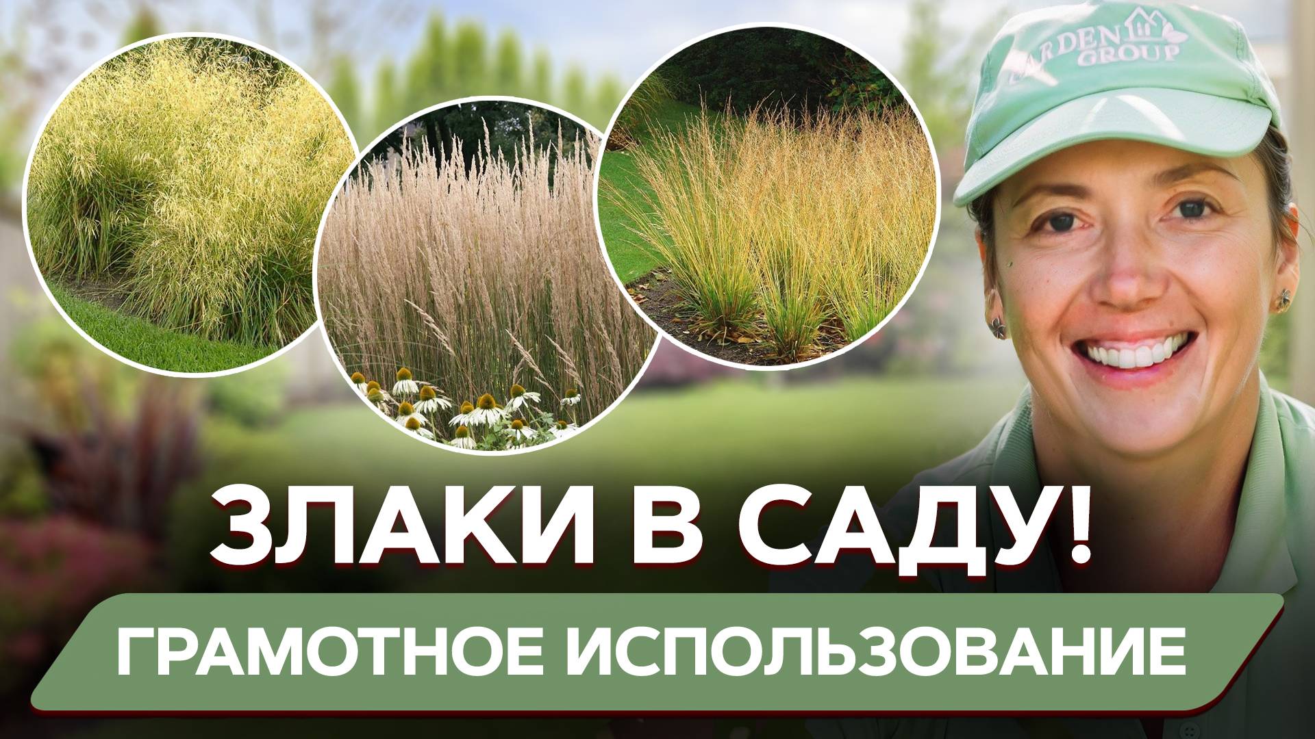 Как ВЫБРАТЬ ЗЛАКИ для участка? Мастер класс: ассортимент для ландшафта, композиции и уход за ними смотреть онлайн