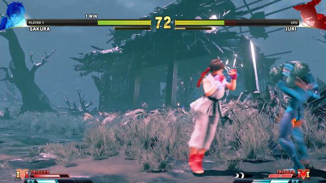 Street Fighter 5 | Sakura Vs Juri | PC Gameplay 4K #sfv