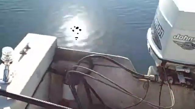 more coot shooting seaduck thetackleshop/harvey bennett/amagansett/montauk/new york смотреть онлайн