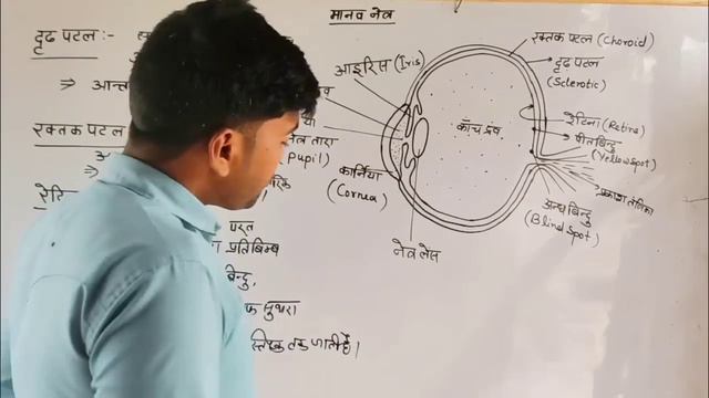 मानव नेत्र || Human eye || structure of human eyes || human eyes and colourful world || by monu sir смотреть онлайн