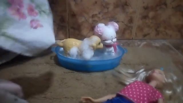 Тафи и Эми смотреть онлайн