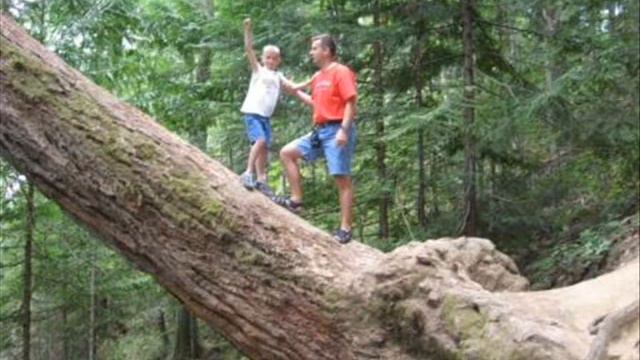 BC Camping Trip смотреть онлайн