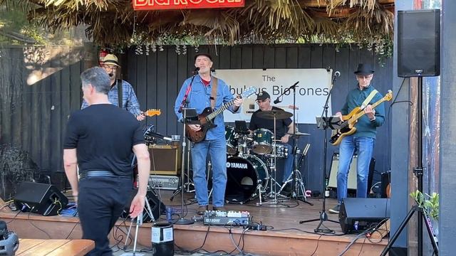 The Fabulous BioTones at Big Rock смотреть онлайн