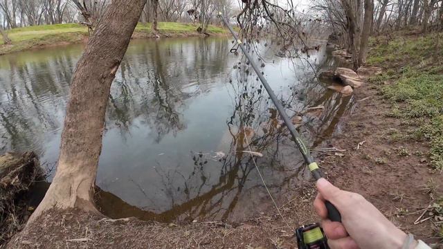 Monocacy River Fishing Frederick Maryland SMALLMOUTH BASS March 2024!! смотреть онлайн