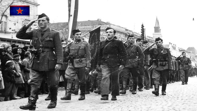 Аој, Тито ружицо и смиље / Aoj, Tito ružico i smilje (Pjesma vojvođanskih Partizana) смотреть онлайн
