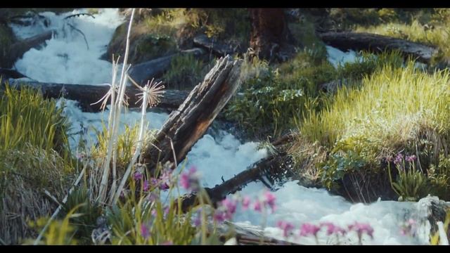 Johann Sebastian Bach - Partita BWV 825 - Sarabande - temperament: Werckmeister смотреть онлайн