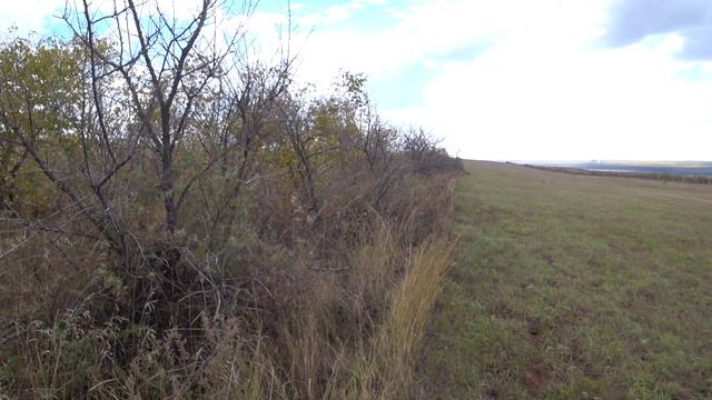 Охота НЕ на зайца - открытие сезона смотреть онлайн