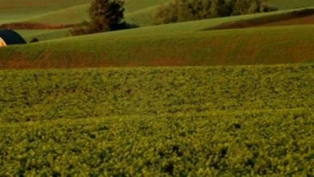 Nuestro amor a la tierra. Kalamarka 2012. смотреть онлайн