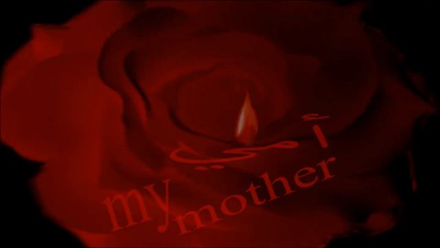 Zaki Ahmed смотреть онлайн