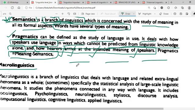 Branches of linguistics/Sub fields of linguistics/ Micra linguistics/ смотреть онлайн