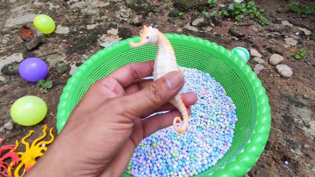CATCH Colorful CHICKEN, Unique CHICKEN, Cute CHICKEN, Cute RABBIT, DUCK Goose, ANIMAL Moments смотреть онлайн