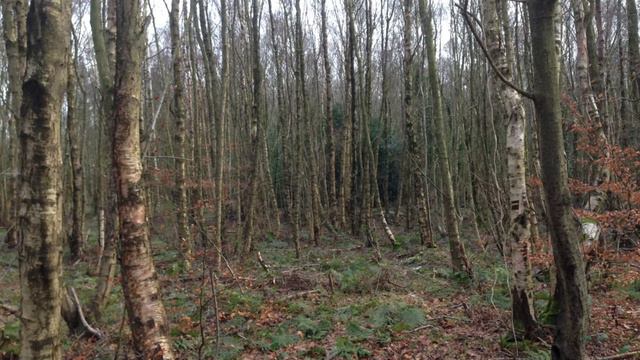 EASINGTON near loftus woodlands смотреть онлайн