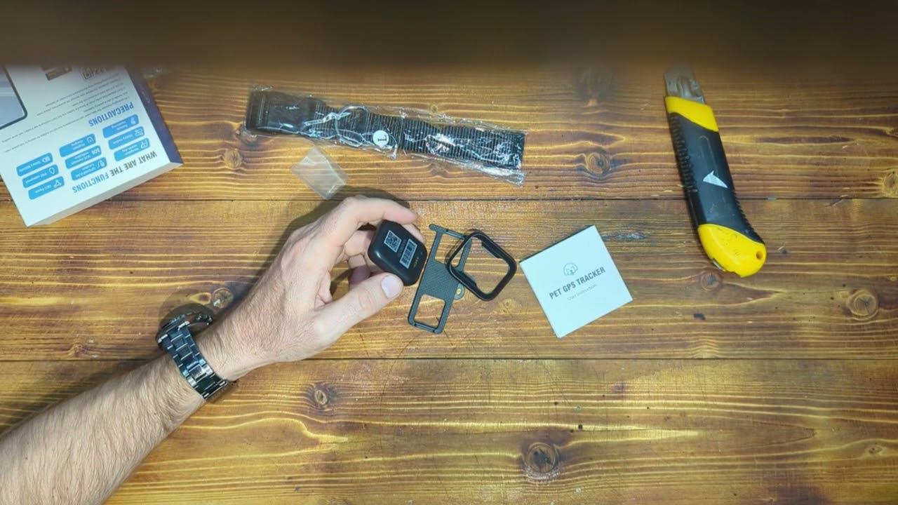 Купил на озон GPS трекер для собаки смотреть онлайн